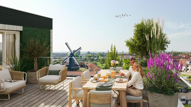 Zaandam – Mahoniehout 466