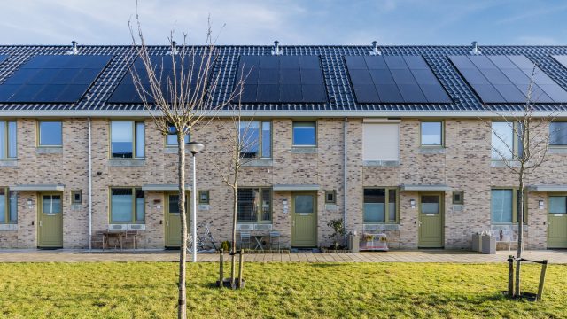 Zaandam – Schoolven 12